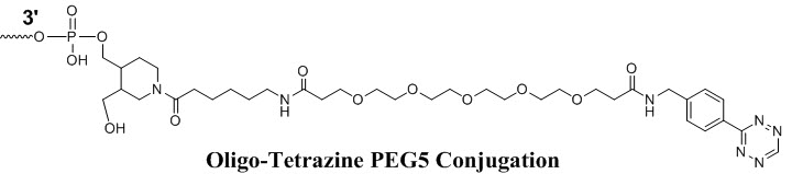 Bio-Synthesis Inc. Oligo Structure